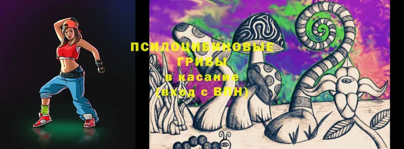 площадка клад  OMG рабочий сайт  Туапсе  Галлюциногенные грибы Psilocybe 